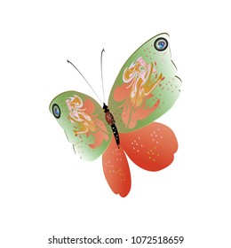 beautiful pink butterflies,isolated on a white 