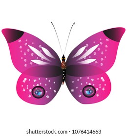 beautiful pink butterflies,isolated on a white 