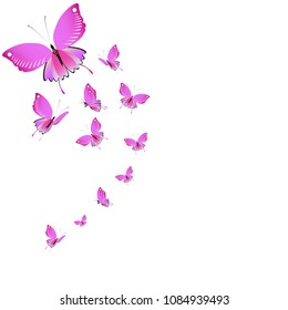 beautiful pink butterflies,isolated on a white 