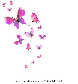 beautiful pink butterflies,isolated on a white 