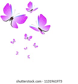 beautiful pink butterflies,isolated on a white 