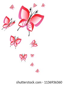 beautiful pink butterflies,isolated on a white 