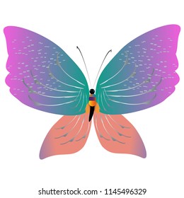 beautiful pink butterflies,isolated on a white 