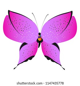 beautiful pink butterflies,isolated on a white 