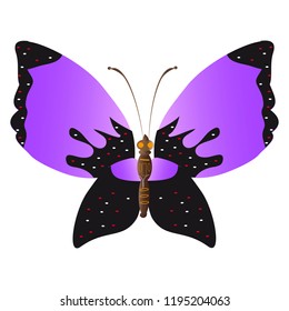 beautiful pink butterflies,isolated on a white 
