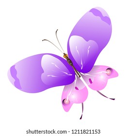 beautiful pink butterflies,isolated on a white 