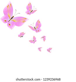 beautiful pink butterflies,isolated on a white 