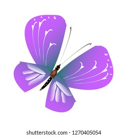 beautiful pink butterflies,isolated on a white 