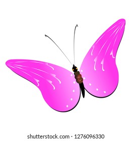 beautiful pink butterflies,isolated on a white 
