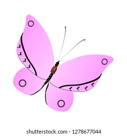 beautiful pink butterflies,isolated on a white 