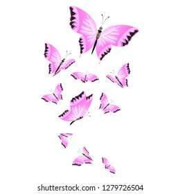 beautiful pink butterflies,isolated on a white 