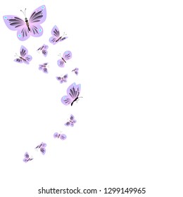 beautiful pink butterflies,isolated on a white 