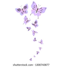 beautiful pink butterflies,isolated on a white 