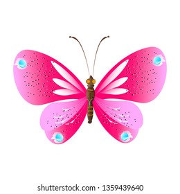 beautiful pink butterflies,isolated on a white 