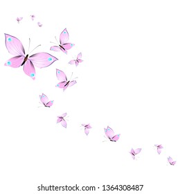 beautiful pink butterflies,isolated on a white 