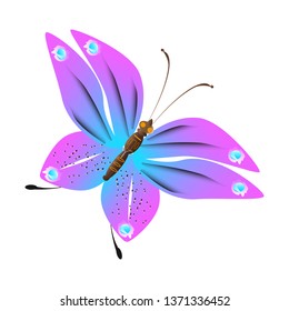 beautiful pink butterflies,isolated on a white 
