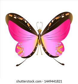 beautiful pink butterflies,isolated on a white 