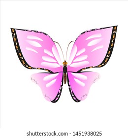 beautiful pink butterflies,isolated on a white 