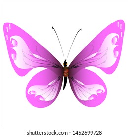 beautiful pink butterflies,isolated on a white 