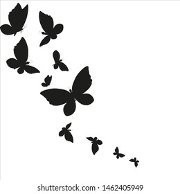 beautiful pink butterflies,isolated on a white 