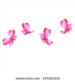 beautiful pink butterflies,isolated on a white 