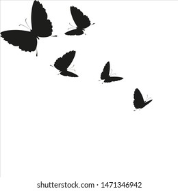 beautiful pink butterflies,isolated on a white 
