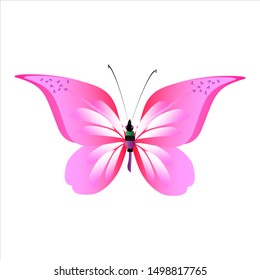 beautiful pink butterflies,isolated on a white 