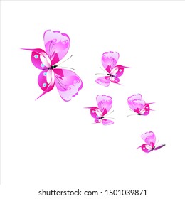 beautiful pink butterflies,isolated on a white 