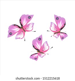 beautiful pink butterflies,isolated on a white 
