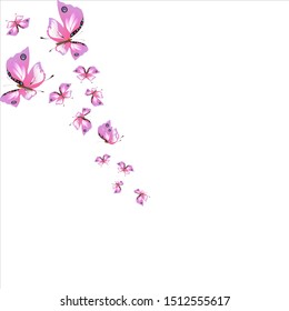 beautiful pink butterflies,isolated on a white 
