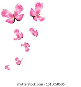 beautiful pink butterflies,isolated on a white 