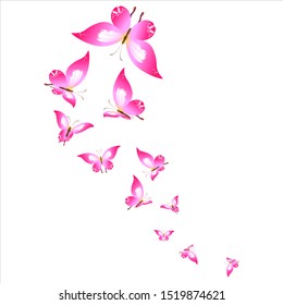 beautiful pink butterflies,isolated on a white 