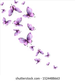 beautiful pink butterflies,isolated on a white 