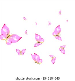 beautiful pink butterflies,isolated on a white 