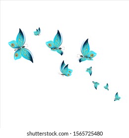 beautiful pink butterflies,isolated on a white 