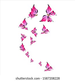 beautiful pink butterflies,isolated on a white 