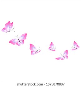 beautiful pink butterflies,isolated on a white 