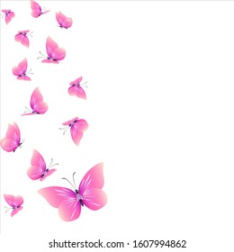 beautiful pink butterflies,isolated on a white 