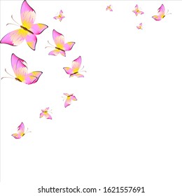 beautiful pink butterflies,isolated on a white 