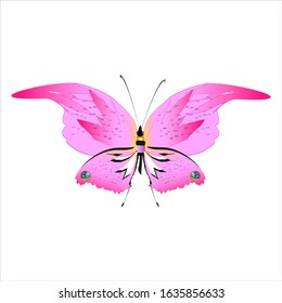 beautiful pink butterflies,isolated on a white 