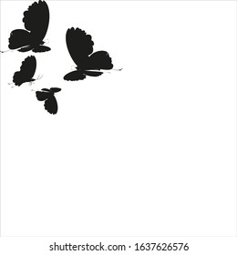 beautiful pink butterflies,isolated on a white 