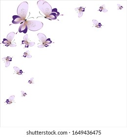 beautiful pink butterflies,isolated on a white 