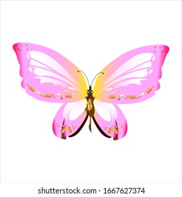 beautiful pink butterflies,isolated on a white 