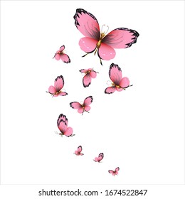 beautiful pink butterflies,isolated on a white 