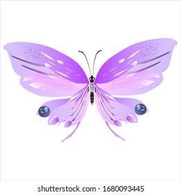beautiful pink butterflies,isolated on a white 