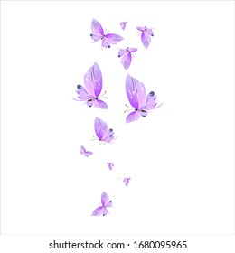 beautiful pink butterflies,isolated on a white 