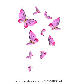 beautiful pink butterflies,isolated on a white 