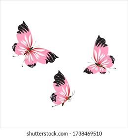beautiful pink butterflies,isolated on a white 