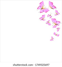 beautiful pink butterflies,isolated on a white 
