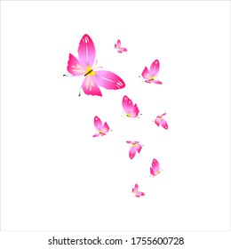 beautiful pink butterflies,isolated on a white 